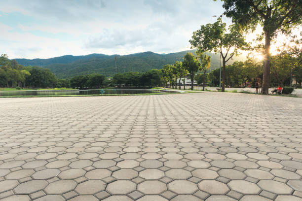 Best Local Driveway Pavers  in Flora, IL