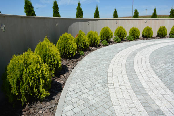 Best Residential Driveway Paver Services  in Flora, IL